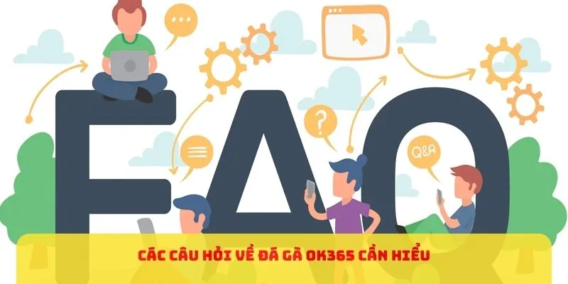 Các câu hỏi về đá gà OK365 cần hiểu