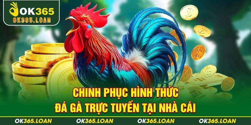 Chinh phục hình thức đá gà trực tuyến tại nhà cái