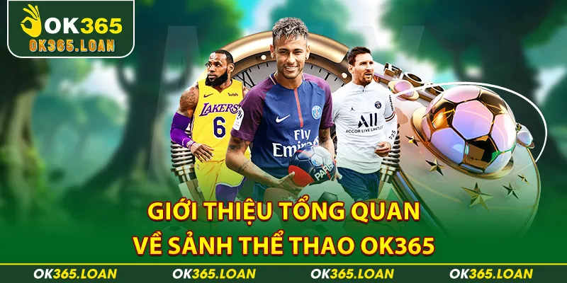 Giới thiệu tổng quan về sảnh thể thao OK365